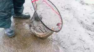 Запуск от 23.04.26