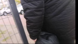 petal_20260423_143747.mp4