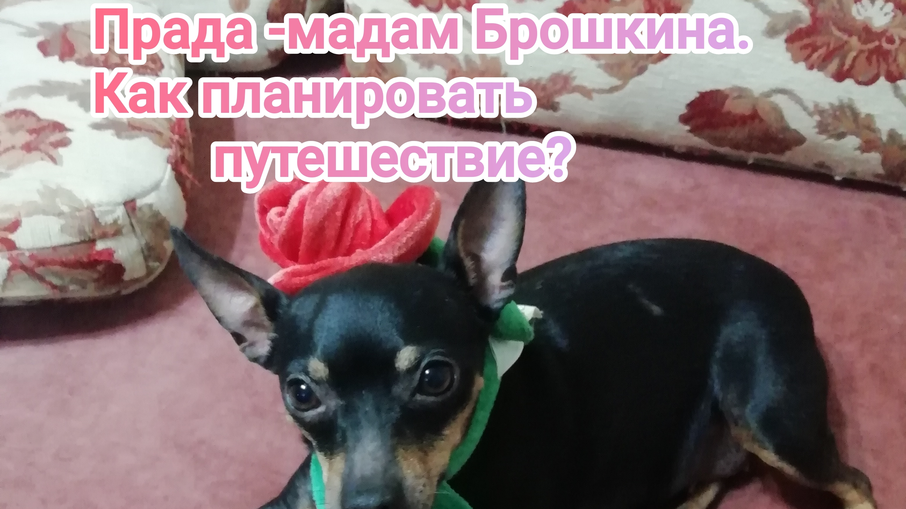 Прада -мадам Брошкина Как планировать путешествие?23-04-2026