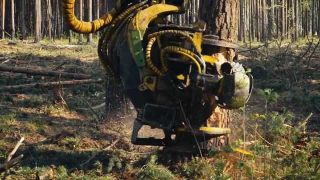 Forestry Trucks for Kids _ Logging Trucks for Toddlers _ Speedie DiDi Toddler Learning Video _Bruder