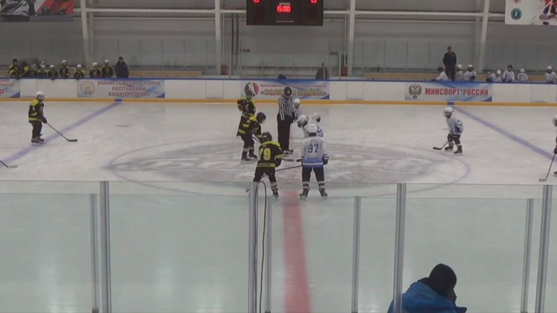 Лесные пчелы - Динамо-Ульяновск 23042026