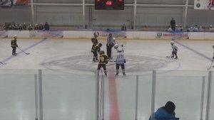 Лесные пчелы - Динамо-Ульяновск 23042026