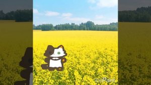 ваай скажите же милая?