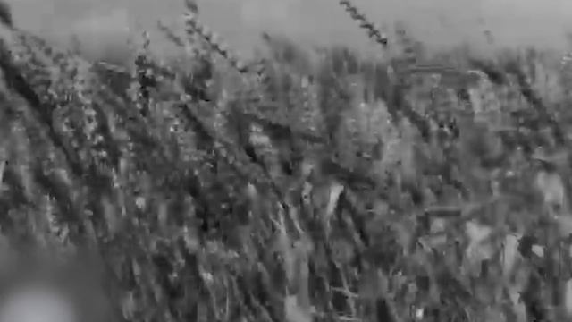 Зачем США строили заводы СССР? Индустриализация и глобальный план Сталина