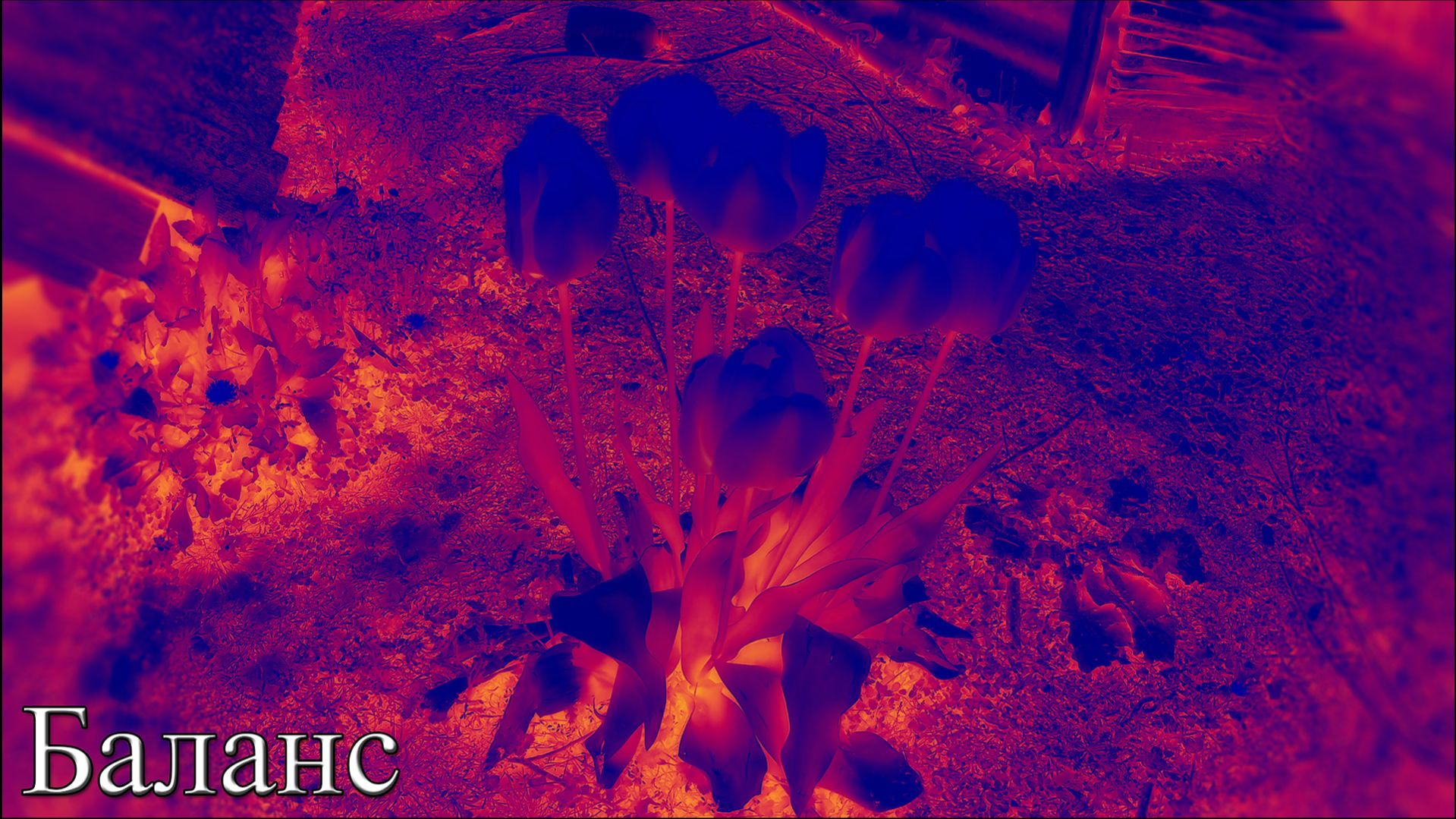 Rossijnin - Баланс