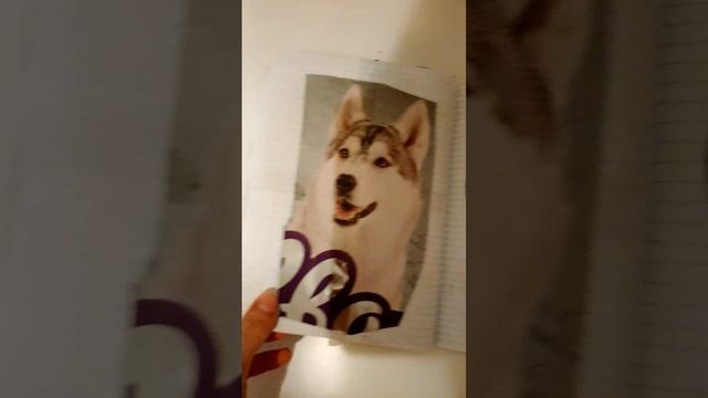 Обзор на альбомы этикеток Пончика