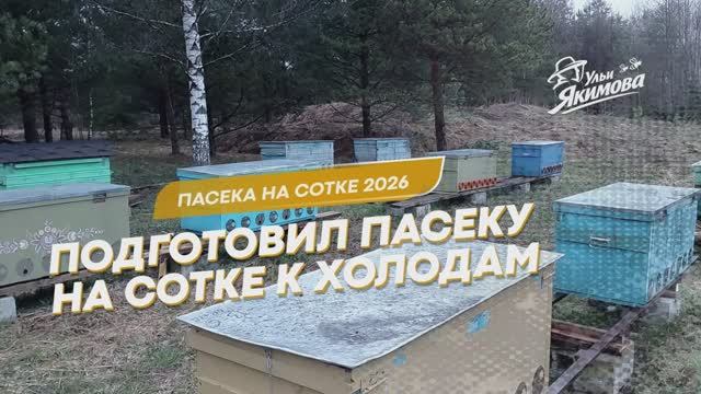 Подготовка пасеки к резкому похолоданию