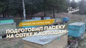 Подготовка пасеки к резкому похолоданию