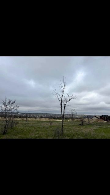 329095 смотреть онлайн