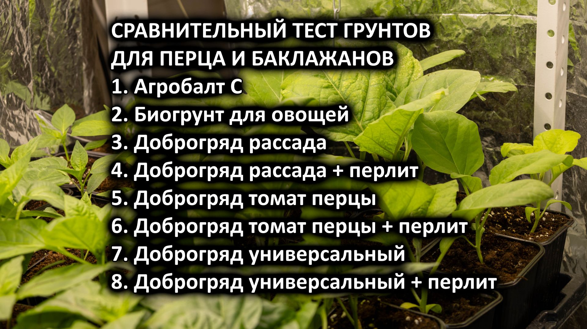 Ошибки с Грунтами Доброгряд Агробалт и как их избежать - Тест на перцах и баклажанах