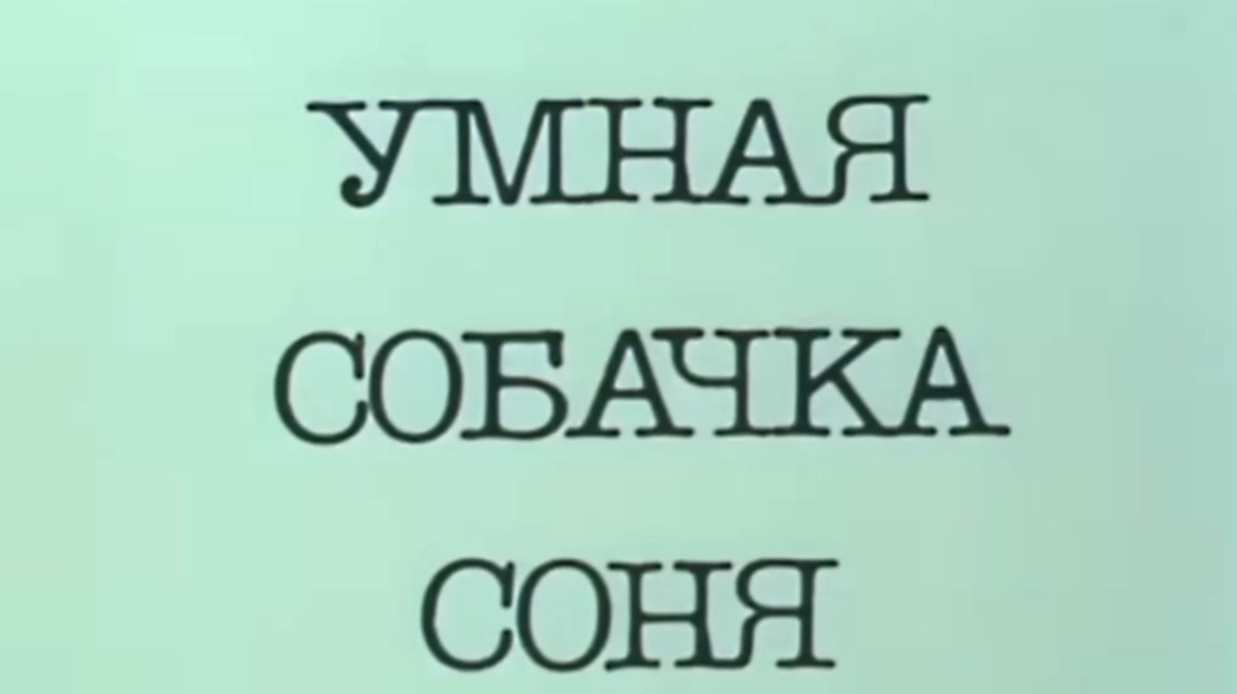 Королевская дворняжка.Как Соня нашла свой дом