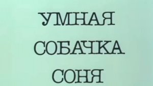 Королевская дворняжка.Как Соня нашла свой дом