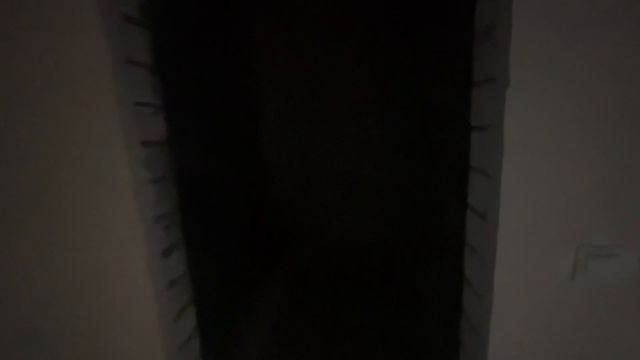 квартире в Весне