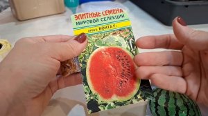 сею огурчики,кабачки..