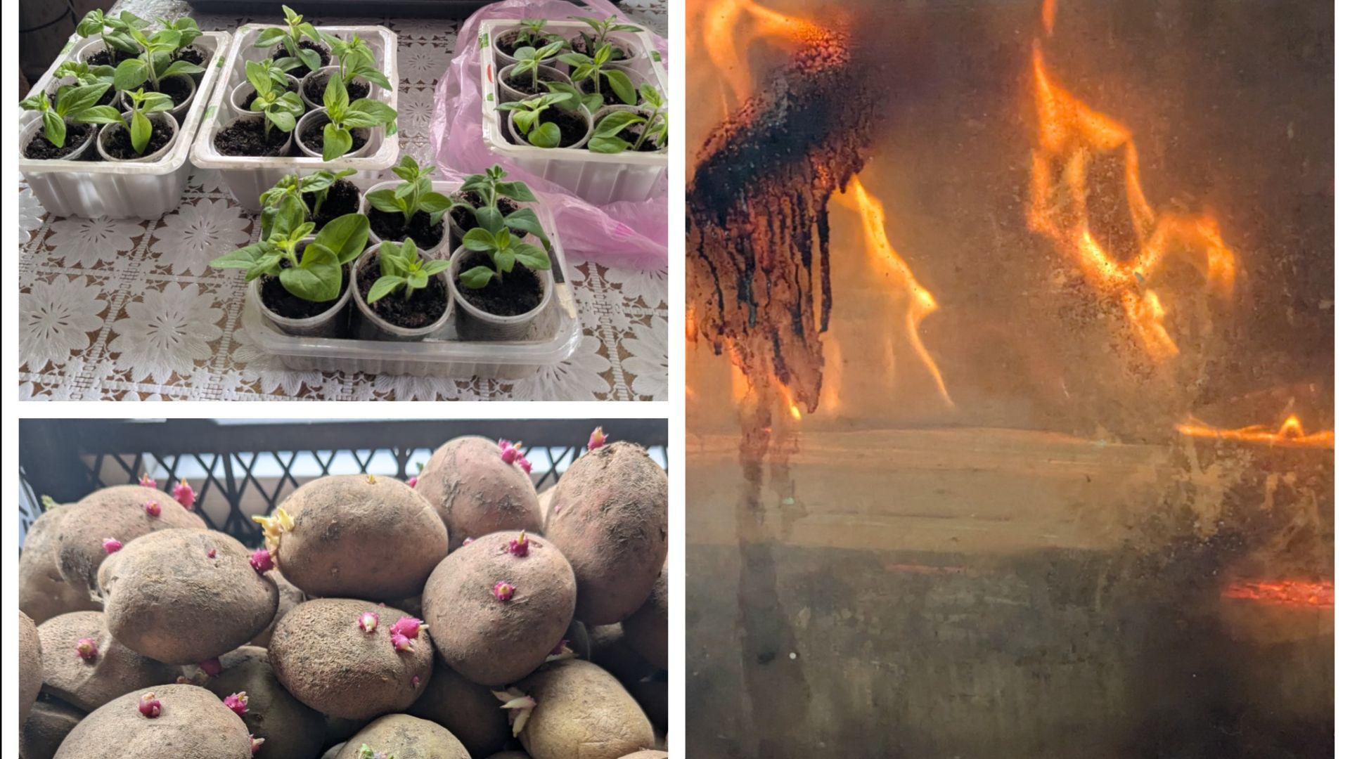 На улице то дождь , то снег. Еще и электричество отключили.