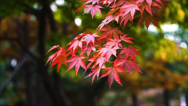 Роковой коридор - 23 апреля. Три вещи, сторого запрещено делать.