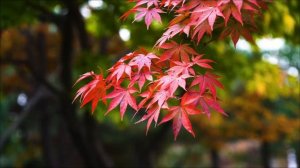 Роковой коридор - 23 апреля. Три вещи, сторого запрещено делать.