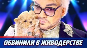 Филиппа Киркорова обвинили в живодерстве 🔥 Новости Шоу Бизнеса