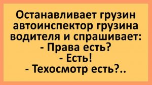 Грузин автоинспектор останавливает грузина водителя... | Анекдоты смешные | Юмор