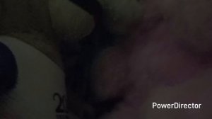 серия 19 свадьба