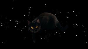 Звездный вальс