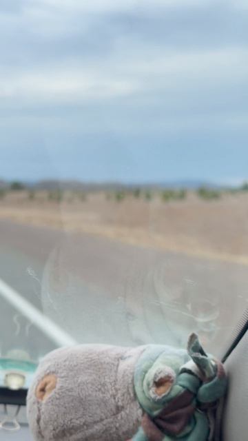 Аэропорт Шушенское… 9-й день путешествия в Тыву.