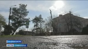Жители Кочубеевского округа Ставрополья жалуются на бездомных животных