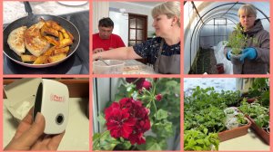 Надеюсь НЕ ЗАМЁРЗНЕТ. Плюшка ЗАЦВЕЛА. Отпугиватель