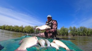 В АСТРАХАНИ РЫБА ДАЖЕ В ГОРОДЕ ЛОВИТСЯ. РЕКА ВОЛГА. Рыбалка на простую закидушку, подпуск и лесенка.