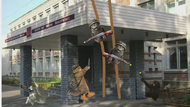 КРИМИНАЛЬНЫЕ КОТЫ 5 серия