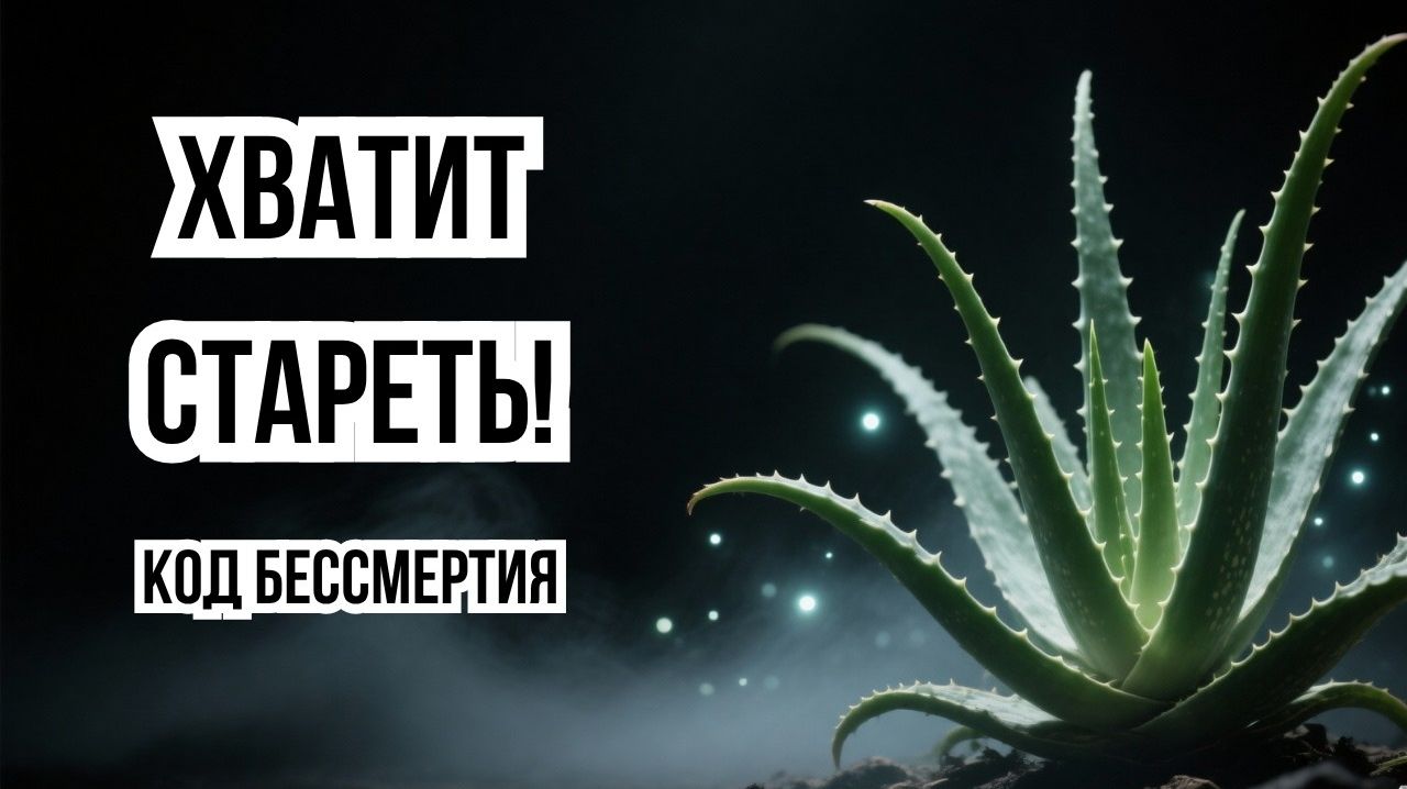 АЛОЭ : Единственный способ очистить клетки и восстановить иммунитет. 🌈