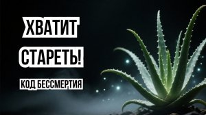 АЛОЭ : Единственный способ очистить клетки и восстановить иммунитет. 🌈