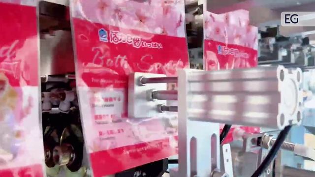 Линия для упаковки гранулированных продуктов в дой-пак с зип-локом ZE-160HPW