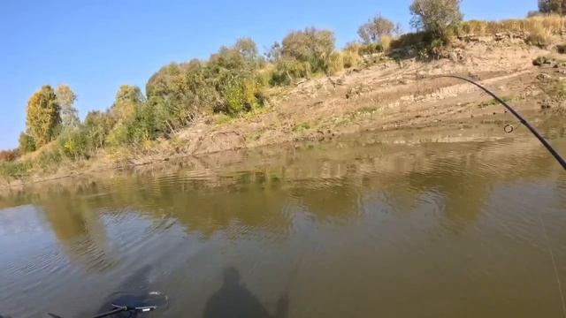 Видео от За Трофеем: Охота и Рыбалка