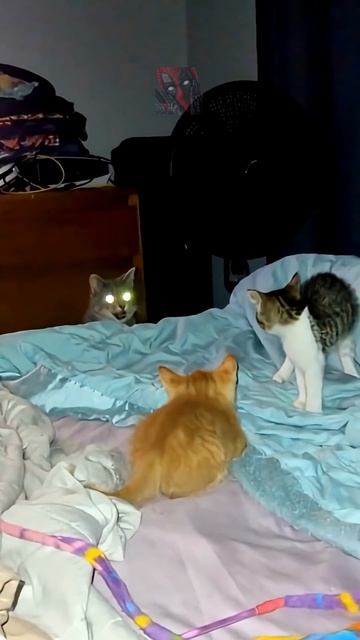 Мамы в деле 🙀🫶🤯