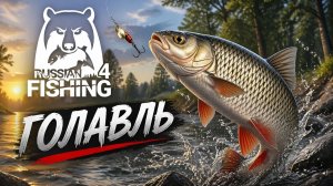 Точка на "Голавль"! [Река "Ахтуба" [RF-4]