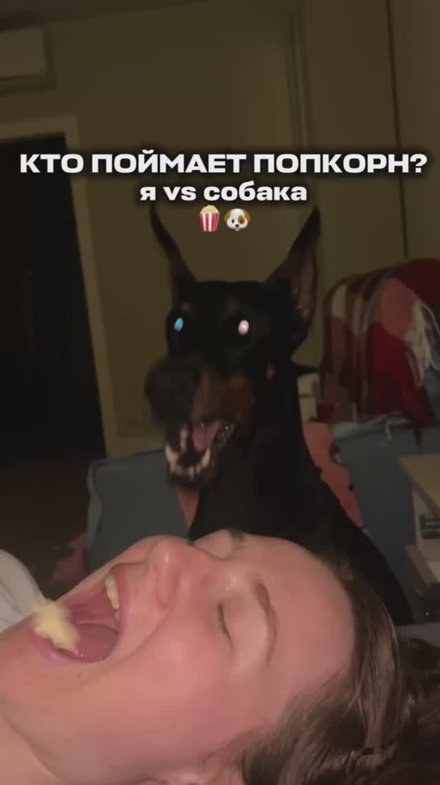 ЛОВИМ ПОПКОРН (я Vs собака)🐶🍿