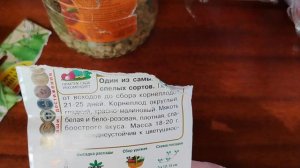 Посев гороха