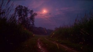 Endlight — moonlit drones for deep quiet and solitude