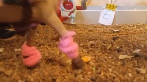 тренеровка с капучино