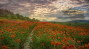 Христианская,хит.