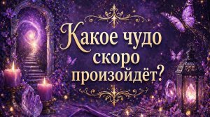 Какое ЧУДО скоро произойдёт?  Гадание расклад Tarot