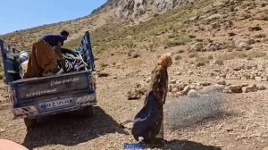 Девушки-кочевницы.