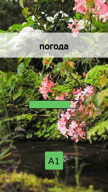 🛠️ Инструменты общения: 5 слов A1 (09 May 2026)