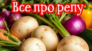 Проще пареной репы. Кулинарный ликбез. Меню для диабетиков. Что приготовить из репы