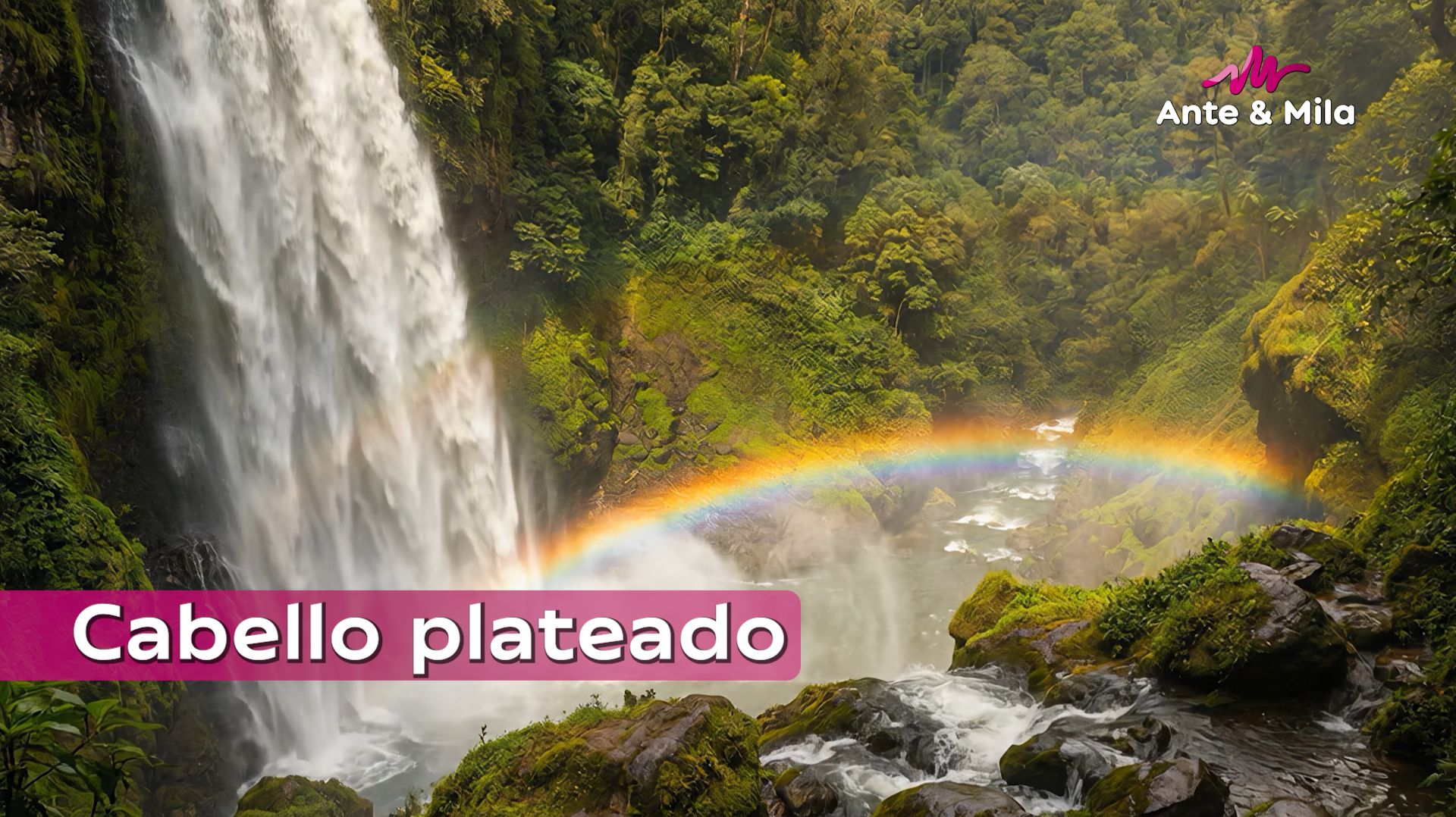 Ante & Mila - Cabello plateado