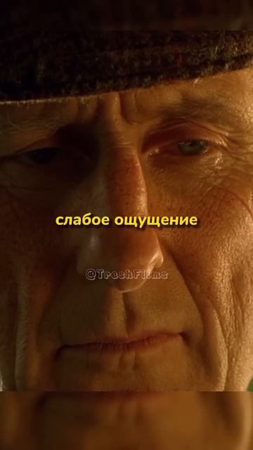 Фермер угадал вес поросёнка 🐖👨🌾 Название_ Бэйб (1995) 👍🍿 #фильм #сериал #моменты #shorts