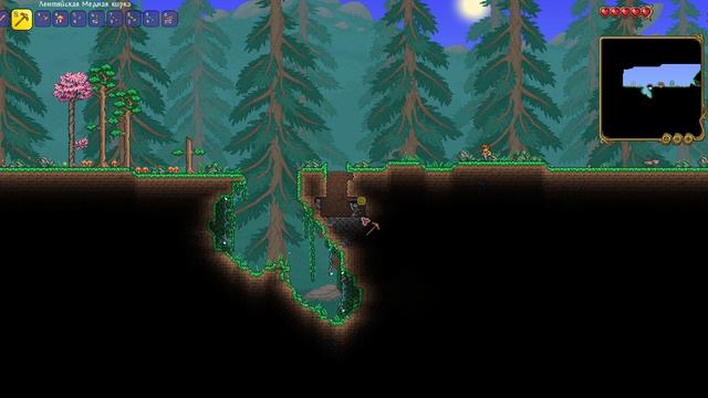 Terraria. Ничего не понятно 23.04.2026