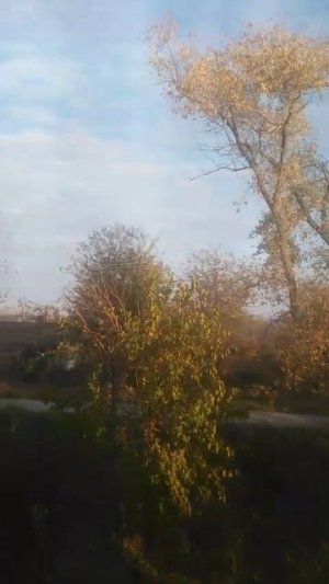 VID-20241117-WA0003