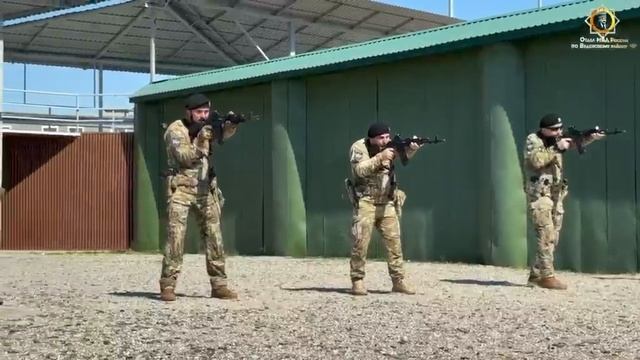 Мастерство сотрудников полиции, отточенное в деле